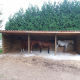 ABRI CHEVAUX 3X9